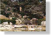 The Japanese Gardens are in Hermann Park